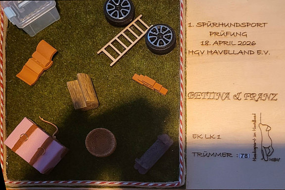 Prüfung2026_Franz.jpg  